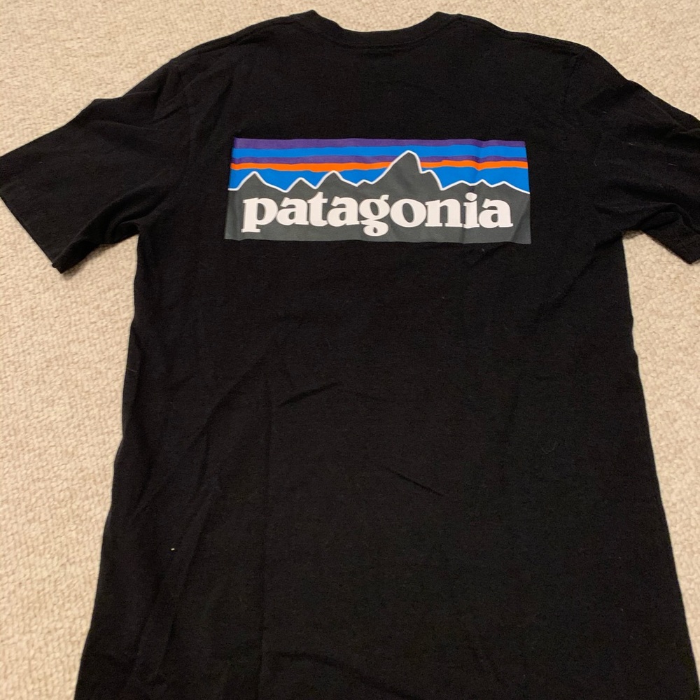 Patagonia tee